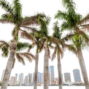 DK Travel Florida Guide Kindle Edition 2025 Updated 329‑Page eBook-0