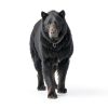 Bear Spray W/Holster 40 ft Range, Maximum Strength, EPA-Registered Spray for Bears, Mountain Lions, Coyotes, Dogs, & Moose, Outdoor Hiking & Camping Protection, Glow Safety, 7.9 oz 2 Pack-1