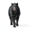 Bear Spray Griz Guard 7.9 oz 40-Foot Range with Holster-1